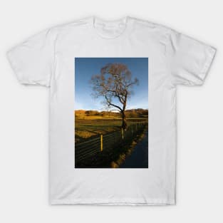 Elterwater T-Shirt